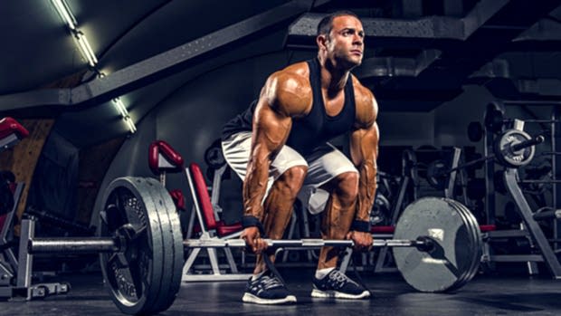 Transform Gym