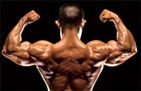 Definasyon Dönemi |Transform Gym